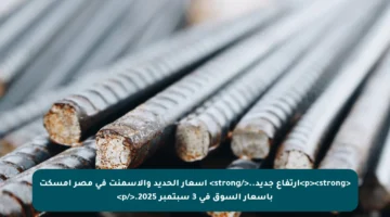 <p><strong>ارتفاع جديد..</strong> أسعار الحديد والأسمنت في مصر أمسكت بأسعار السوق في 3 سبتمبر 2025.</p>